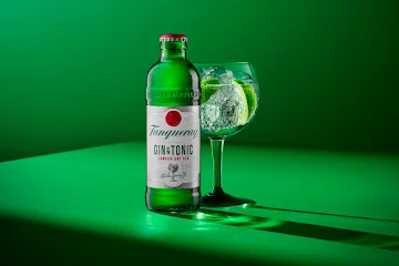 best-gin-brands-india-Tanqueray