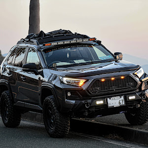 RAV4 MXAA54