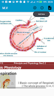 mechanical ventilation advanced - náhled