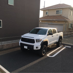 タンドラ