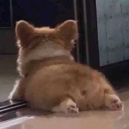 まぐろ