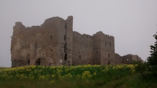 Toolse Castle