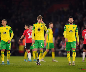 Premier League : Southampton enfonce Norwich City 