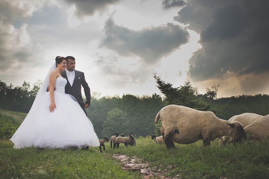 Wedding photographer Eszter Péter-Tóth (teszterfoto). Photo of 22 June 2018