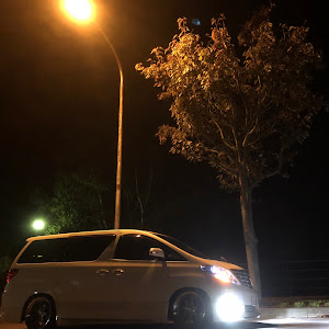 アルファード ANH25W