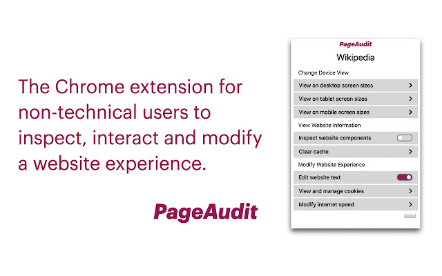 PageAudit chrome extension