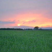 Tramonto in friuli di 