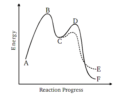 Substitution reaction (Haloalkanes and Haloarenes) (Chemistry) (Class 12)