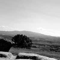 Dolce maremma di 