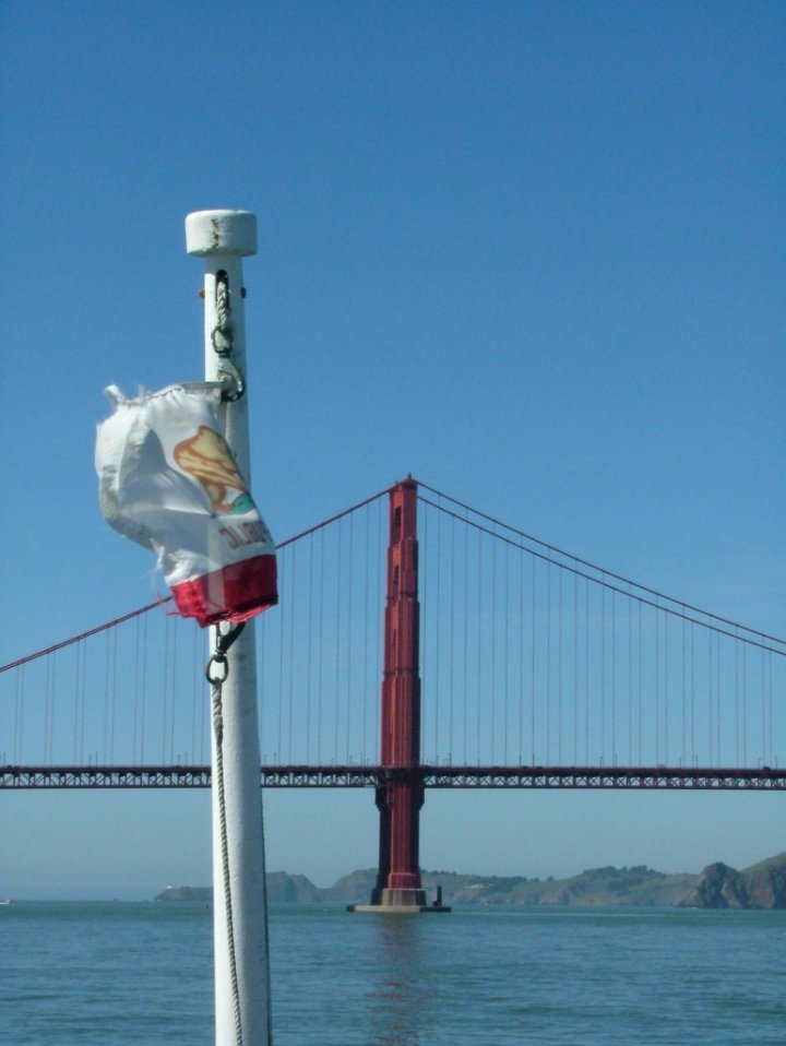 Bear under the Golden Gate di fa.mo