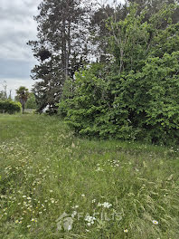 terrain à Mignaloux-Beauvoir (86)