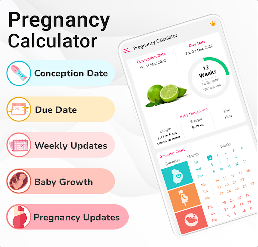 Screenshot Pregnancy Calculator: Due Date