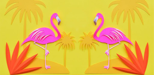 Flamingo Wallpaper Com Lastlions Flamingowallpaper 1 0 Application Apkspc