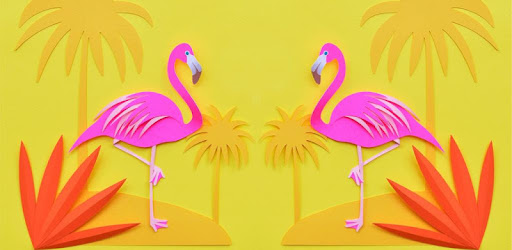 Flamingo Wallpaper Com Lastlions Flamingowallpaper 1 0 Application Apkspc