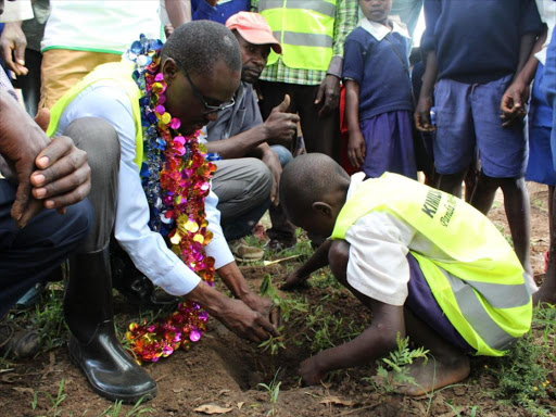 MP Didymus Barasa plants atree at Nasianda primary on Friday, May 11, 2018. /BRIAN OJAMAA