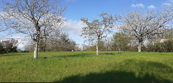 maison neuve à Riberac (24)