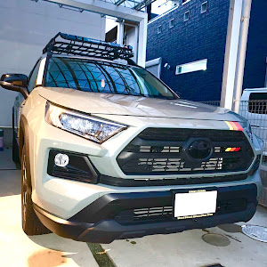 RAV4 MXAA54