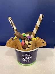 Giani's Ice Cream photo 3