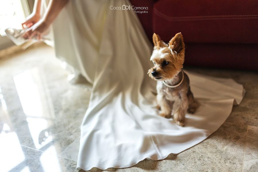 Photographe de mariage Diego Carmona Rioja (diegocrioja). Photo du 22 mai 2019