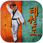 Cover Image of डाउनलोड Taekwondo Pro 3.0.1 APK