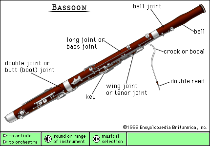 http://webspace.webring.com/people/ea/allreeds/bassoon.bmp