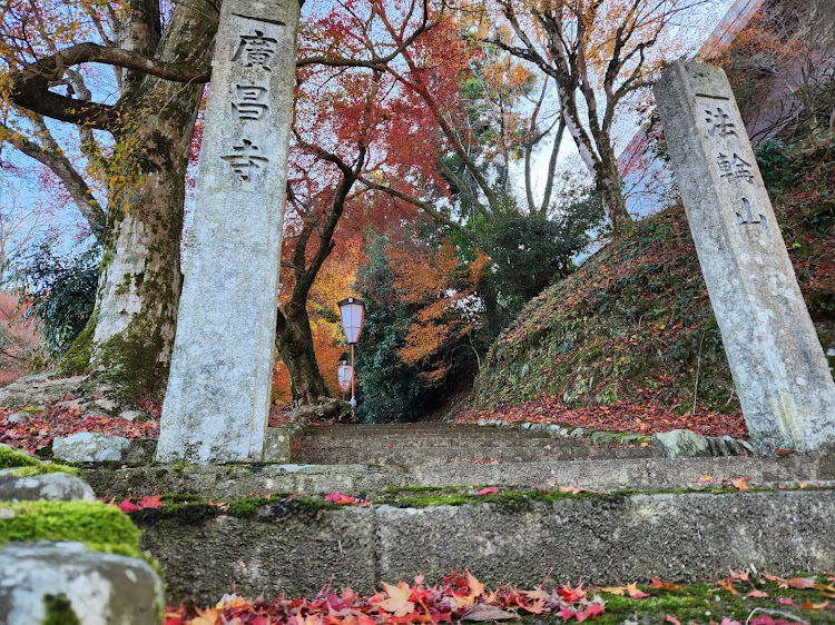 Nボックスカスタムの京都府・京丹波町・南丹市・日吉町・園部町・八木町・美山町・亀岡市・紅葉探し！・廣昌寺&高架下！・写真は無加工主義！！・コロナに負けるな！に関するカスタム事例の投稿画像9枚目