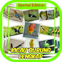 Kicau Burung Lengkap Offline Terbaru