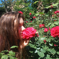 Roses di 