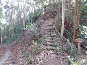 林道合流（分岐を振り返る）