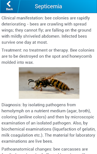 Beekeeping and bee diseases