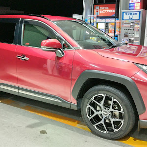 RAV4 MXAA54