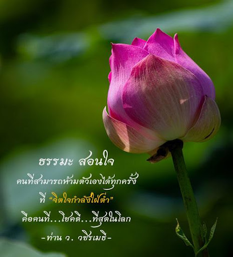 ธรรมะ สอนใจ คำคมธรรมะ