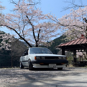 カリーナ