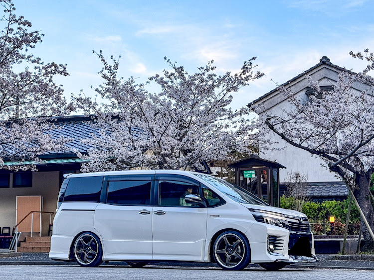 ヴォクシーの岩国・桜と神社・iPhone15pro・日本の春に関するカスタム事例の投稿画像2枚目