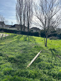 terrain à Saint-Sulpice-les-Feuilles (87)