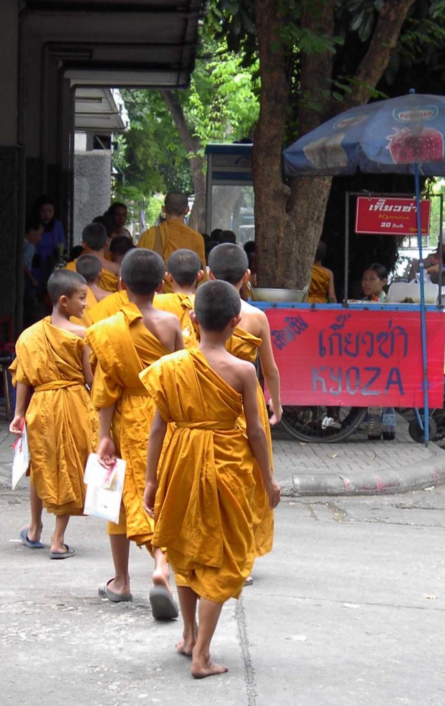 Young Monks, Thailand di marta.mongiorgi