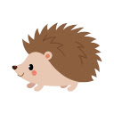 Hedgehog Wallpaper Custom New Tab