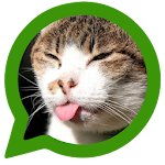 Cats for social networks Apk