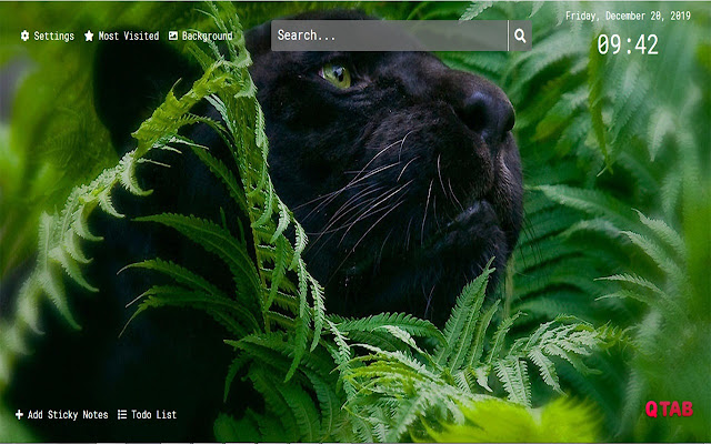 Panther animal Wallpapers HD New Tab Theme