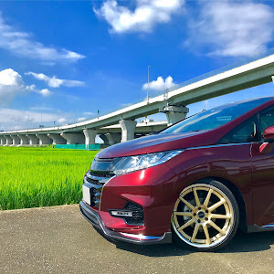 オデッセイ RC1
