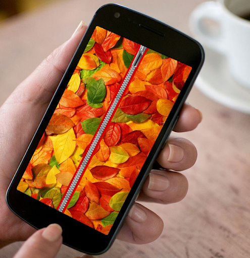 Autumn Zipper Screen Lock