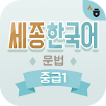 Cover Image of Скачать Sejong Korean Grammar - Intermediate1  APK