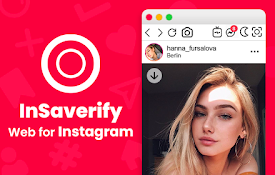 instagram safari extension