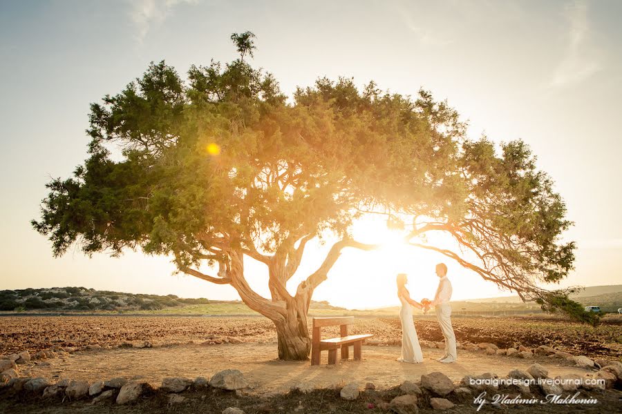 Wedding photographer Vladimir Makhonin (baralgindesign). Photo of 10 March 2015