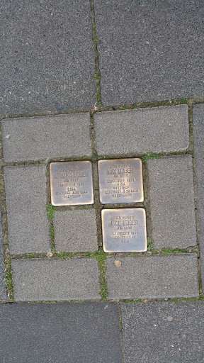 Stolpersteine Salve