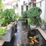 Cover Image of ダウンロード minimalist fish pond design 1.0 APK