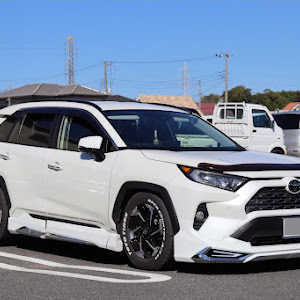 RAV4 MXAA54