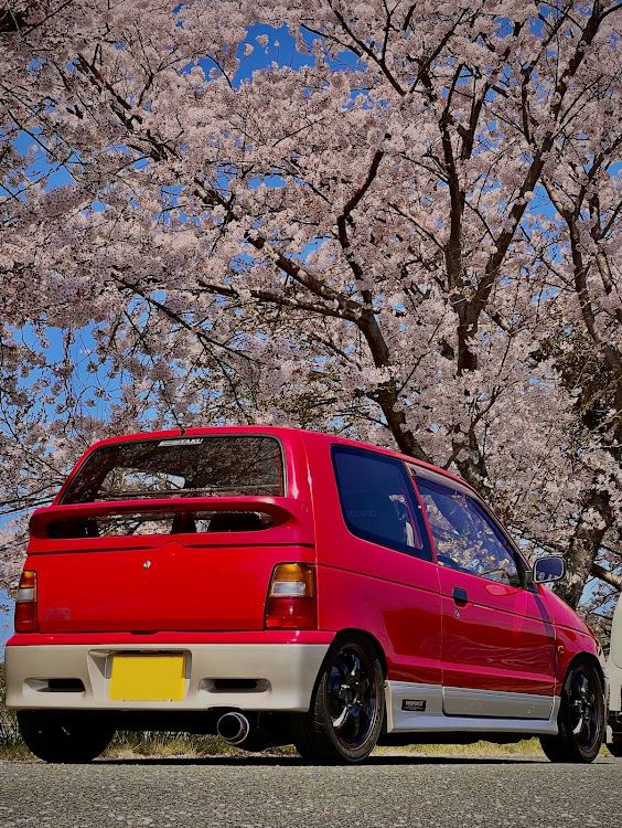 アルトワークスの桜・桜とコラボ🌸・ドライブ・ツーリングに関するカスタム事例の投稿画像25枚目