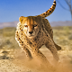 Download Savanna Simulator: Wild Animal Games For PC Windows and Mac 0.1