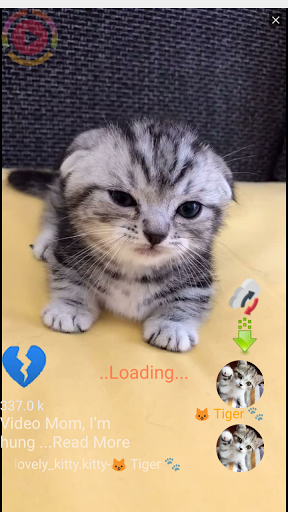 Woho - Photo and Video Hub Network